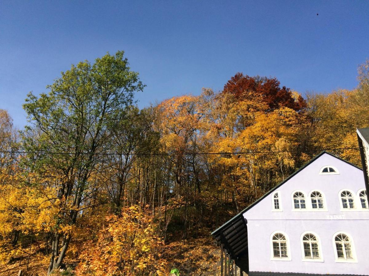 Ubytovani U Brabantika Desná Buitenkant foto