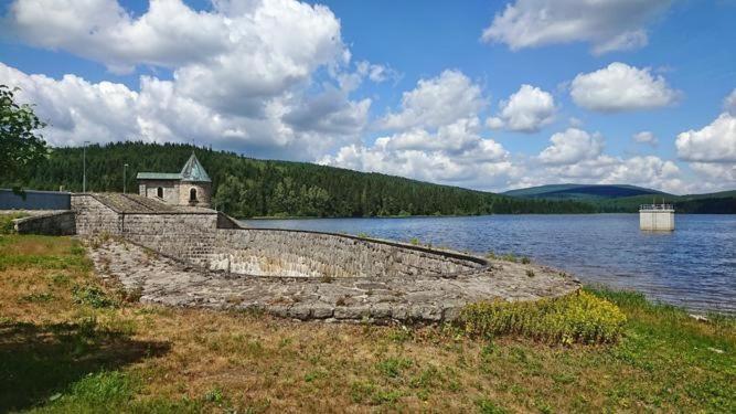 Ubytovani U Brabantika Desná Buitenkant foto