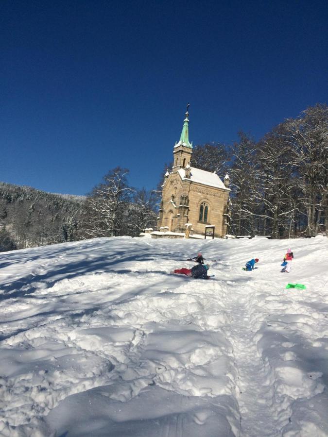 Ubytovani U Brabantika Desná Buitenkant foto