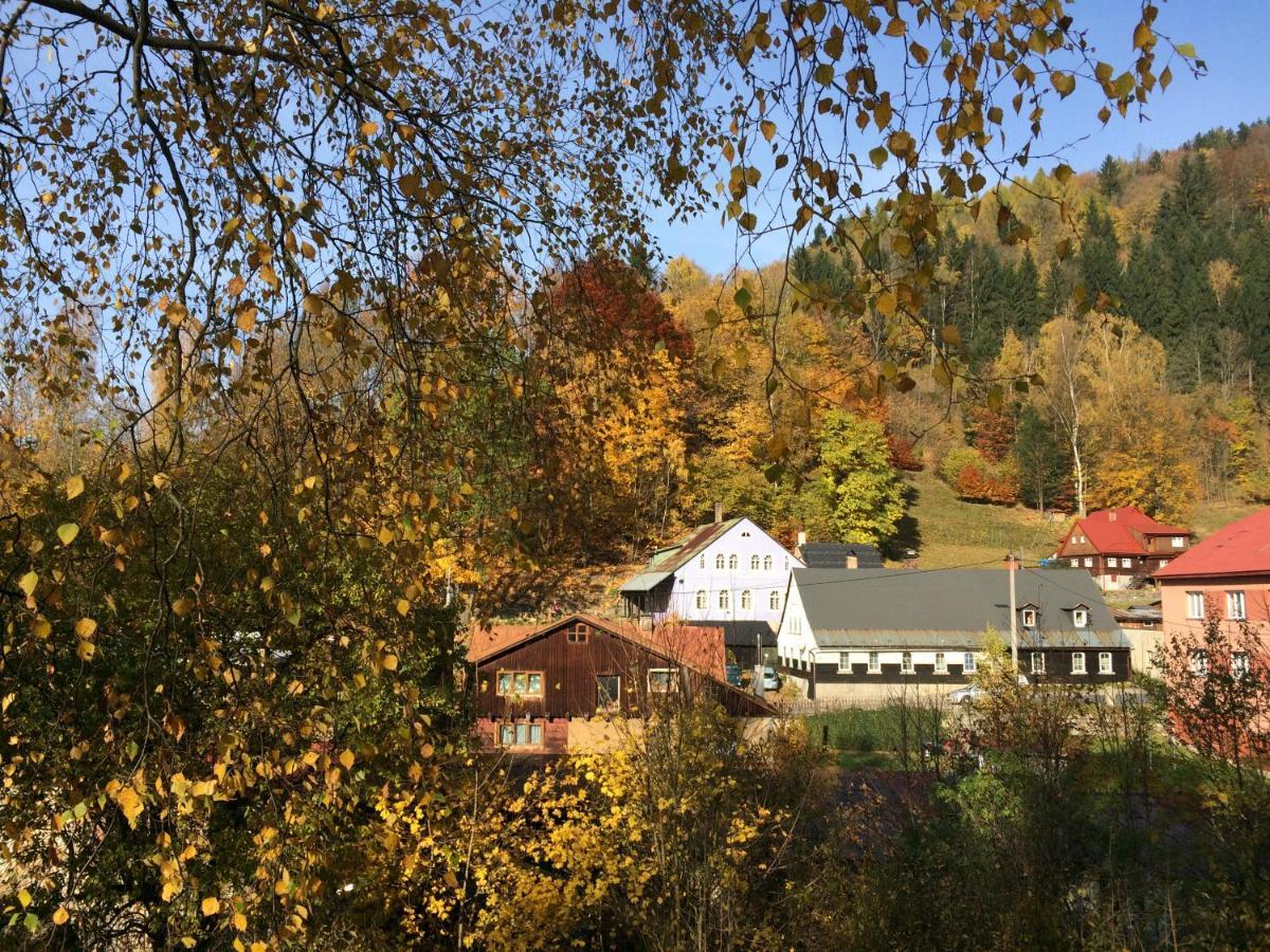 Ubytovani U Brabantika Desná Buitenkant foto