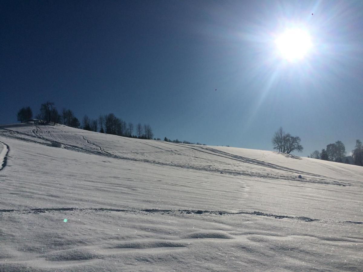 Ubytovani U Brabantika Desná Buitenkant foto